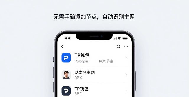 2024年TP钱包多链支持实测，下载安装体验如何